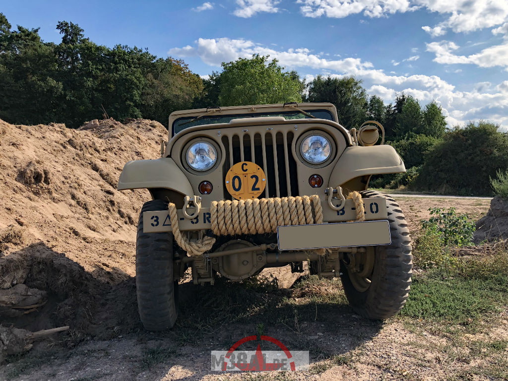 Willys in the field_23.08.18