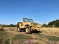 Willys in the field_22.08.18