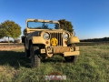 Willys in the sunset_14.10.18