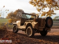 Willys in the woods in fall 2018, November 07th
